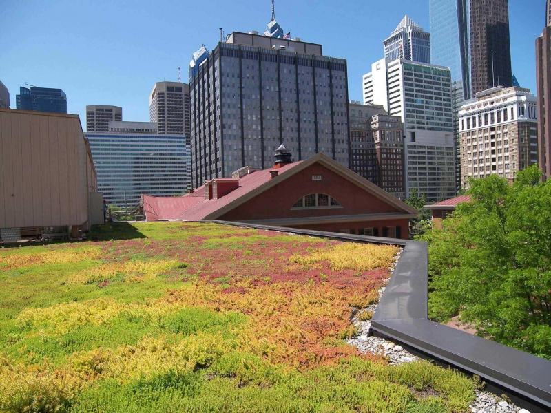 paysagiste-DALUIS-min_green-roof-portfolio-4